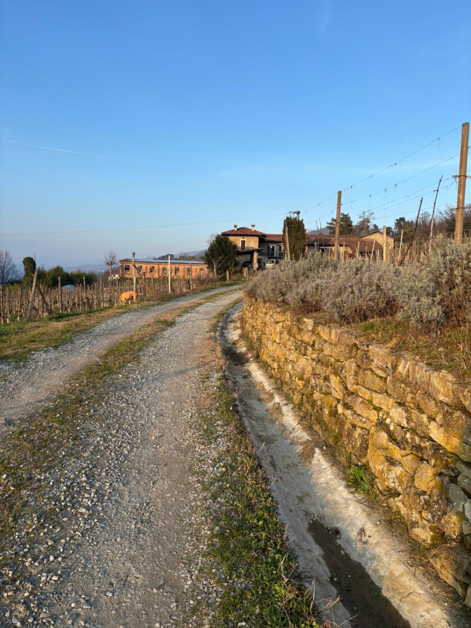 Agriturismo Tenuta San Giuseppe Cossano Belbo Екстериор снимка