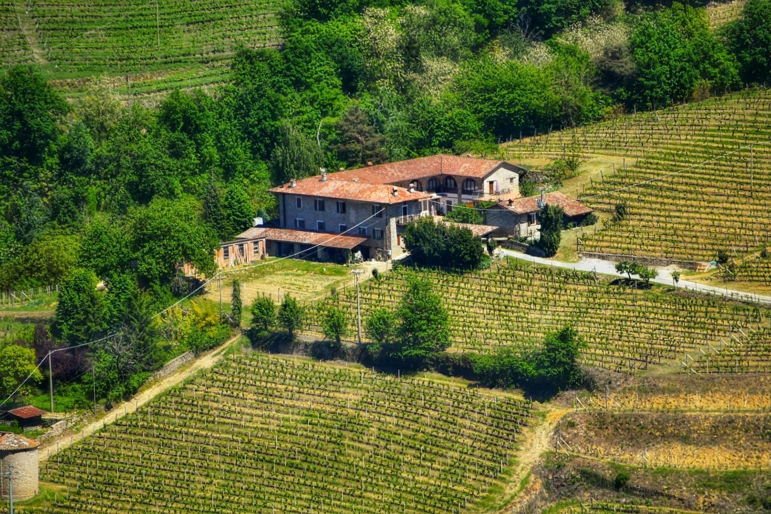 Agriturismo Tenuta San Giuseppe Cossano Belbo Екстериор снимка