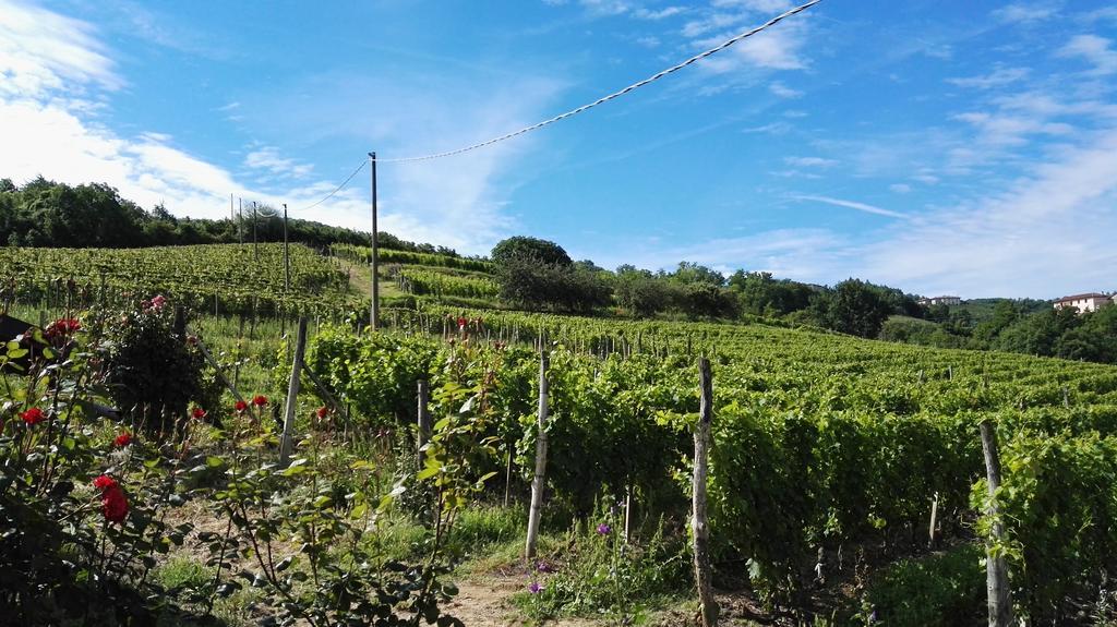 Agriturismo Tenuta San Giuseppe Cossano Belbo Екстериор снимка